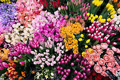 贝塞斯达在开发《辐射3》之前曾遭遇大量死亡威胁