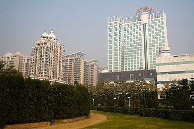 《幻兽帕鲁》转为免费游戏？开发商CEO：还不能确定